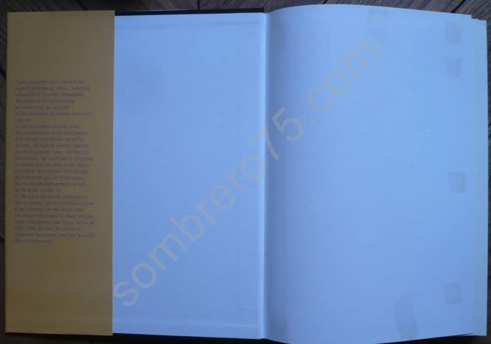 Nouvelle Géographie Ferroviaire de la France. Tome 2 : L'Organisation Régionale du Trafic - Image 6