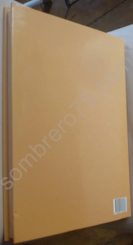 Nouvelle Géographie Ferroviaire de la France. Tome 3 : L'Impact Du Chemin de Fer - Image 3