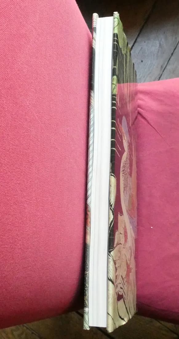 Les Laques de Coromandel. Nicole BRUGIER - Image 11