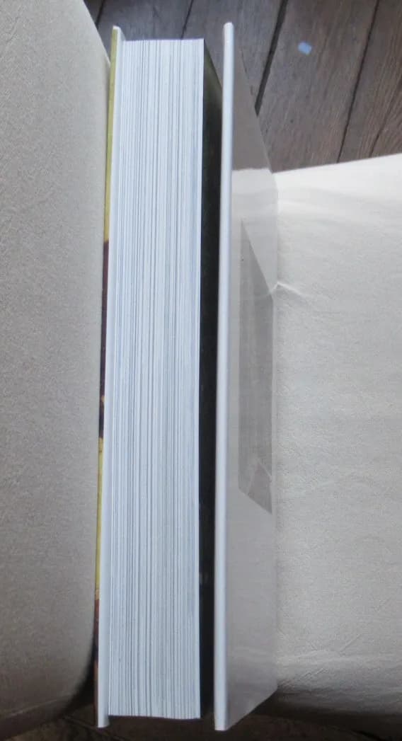 L'Art en Espagne et au Portugal. Citadelles & Mazenod - Image 12