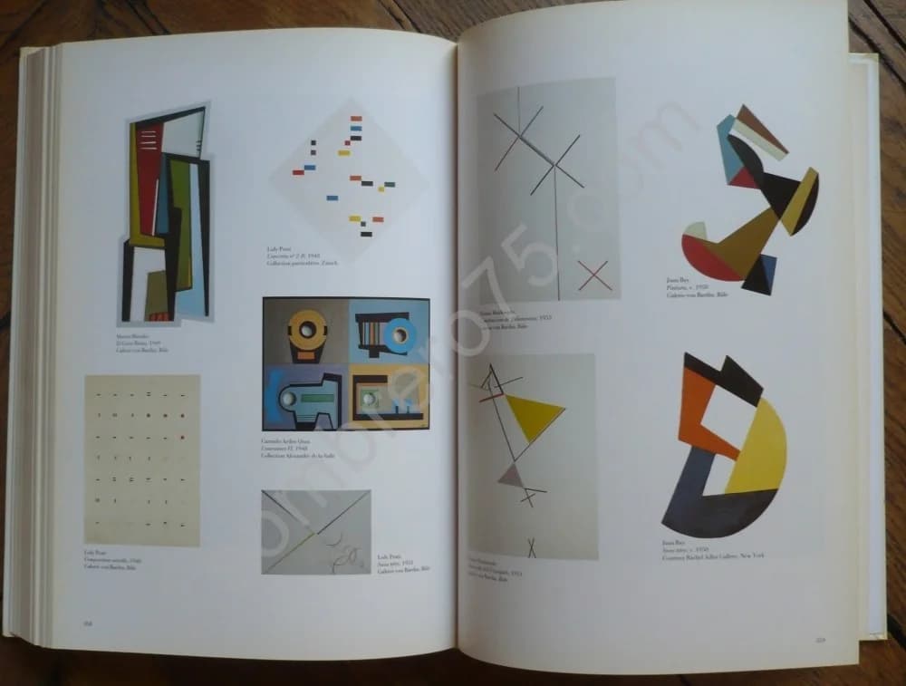 Art d'Amérique Latine 1911-1968. Centre G Pompidou - Image 2