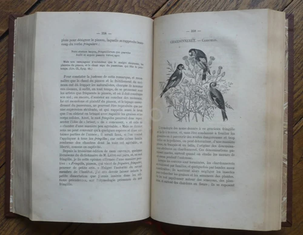 Les Noms des Oiseaux Expliqués par leurs Moeurs ou Essais Etymologiques sur l'Ornithologie. 2 Volumes - Image 3