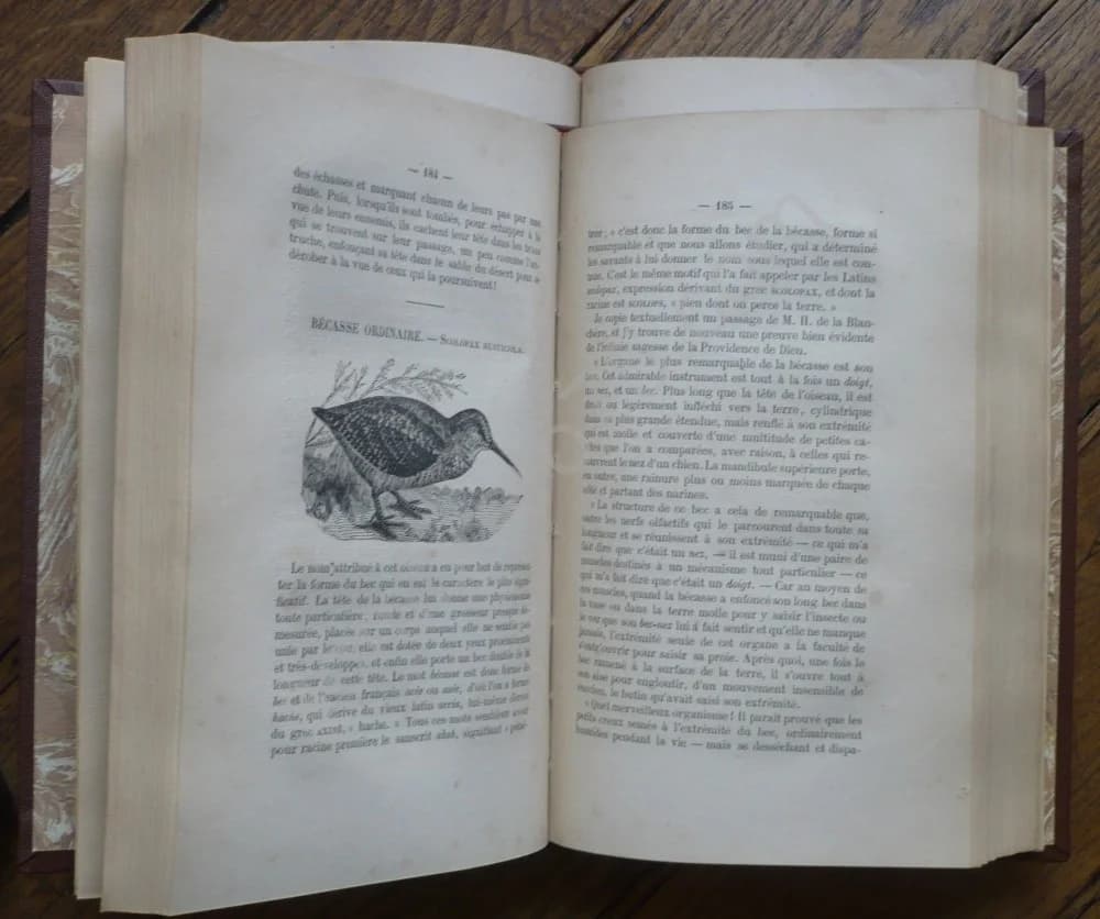 Les Noms des Oiseaux Expliqués par leurs Moeurs ou Essais Etymologiques sur l'Ornithologie. 2 Volumes - Image 4