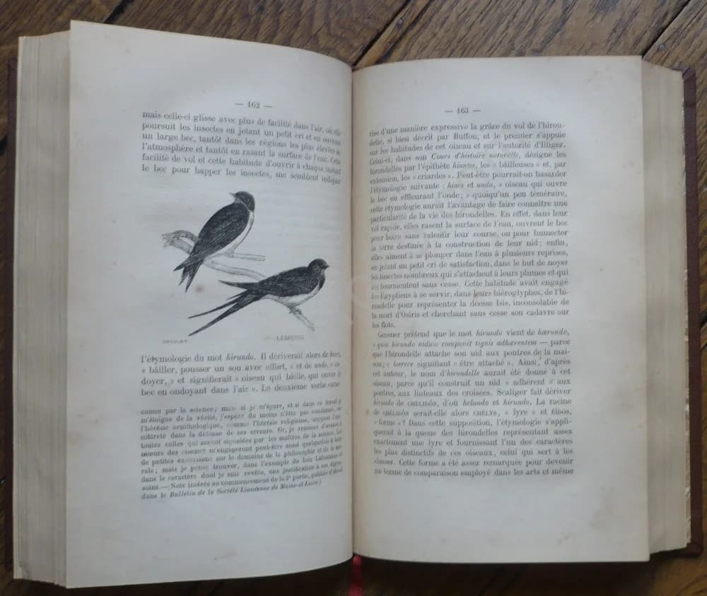 Les Noms des Oiseaux Expliqués par leurs Moeurs ou Essais Etymologiques sur l'Ornithologie. 2 Volumes - Image 6