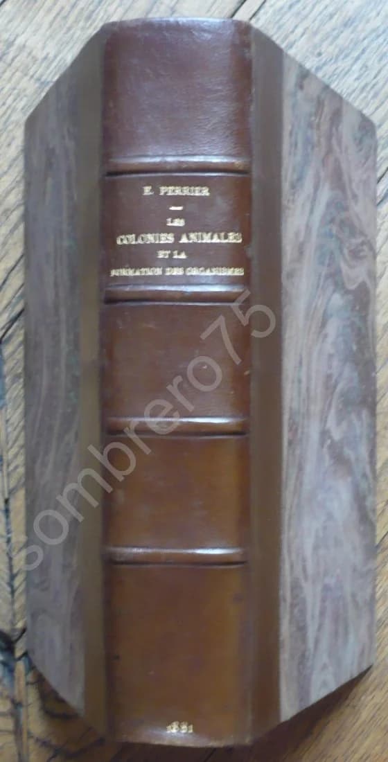 Les Colonies Animales et la Formation des Organismes