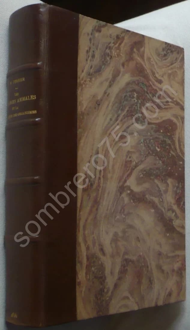 Les Colonies Animales et la Formation des Organismes - Image 2