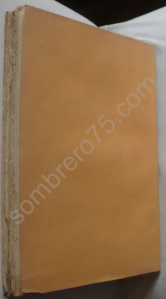 Châtillon-sur-Chalaronne et son District pendant la Révolution Française. E. Dubois - Image 3