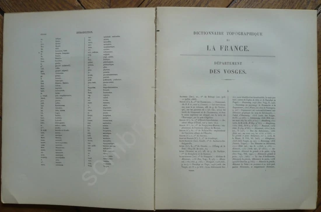 Dictionnaire Topographique du Département des Vosges comprenant les Noms de Lieu Anciens et Modernes - Image 2