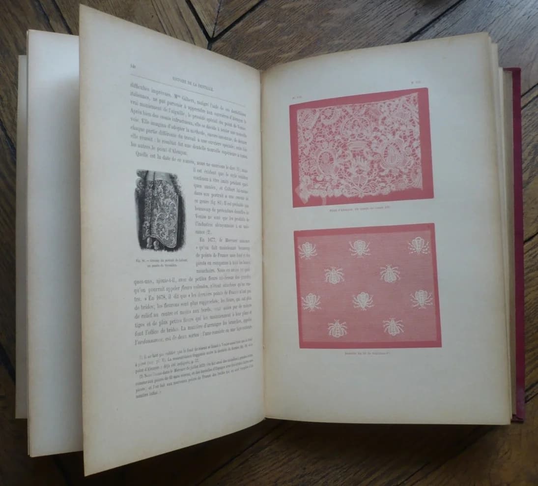 Histoire de la Dentelle. Mme BURY PALLISER - Image 2
