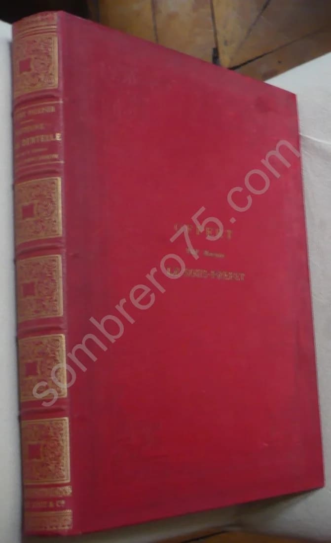 Histoire de la Dentelle. Mme BURY PALLISER - Image 5