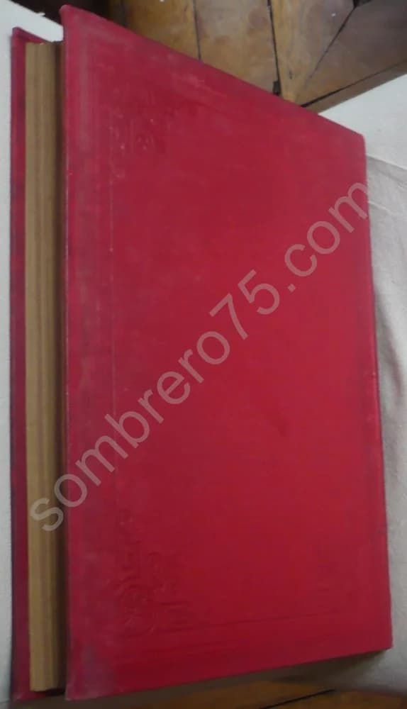 Histoire de la Dentelle. Mme BURY PALLISER - Image 6