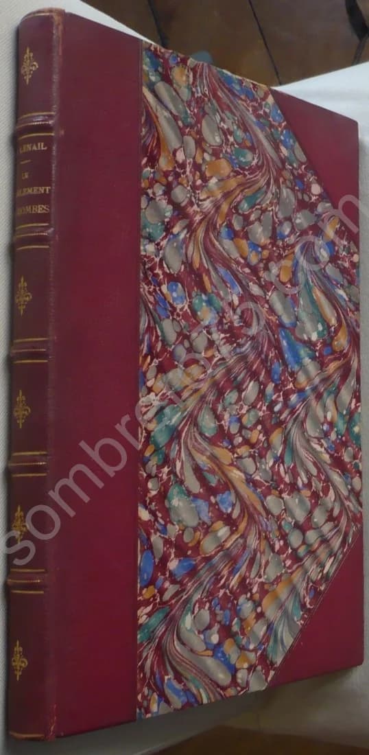 Le Parlement des Dombes - Lyon 1523 À 1696 - Trévoux 1697 à 1771