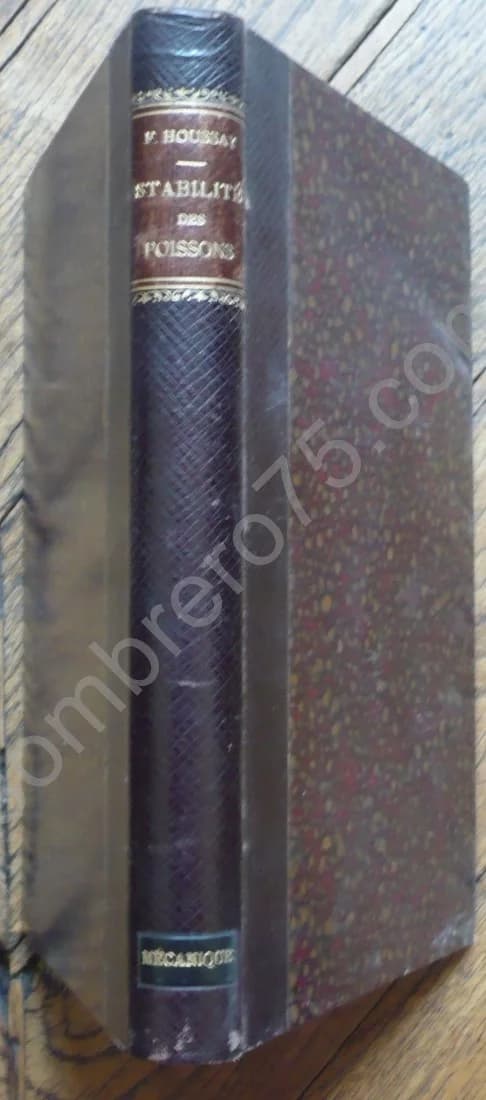 Forme, Puissance et Stabilité des Poissons