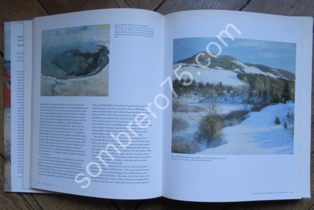 American Impressionism and Realism: The Painting of Modern Life, 1885-1915 - Image 5