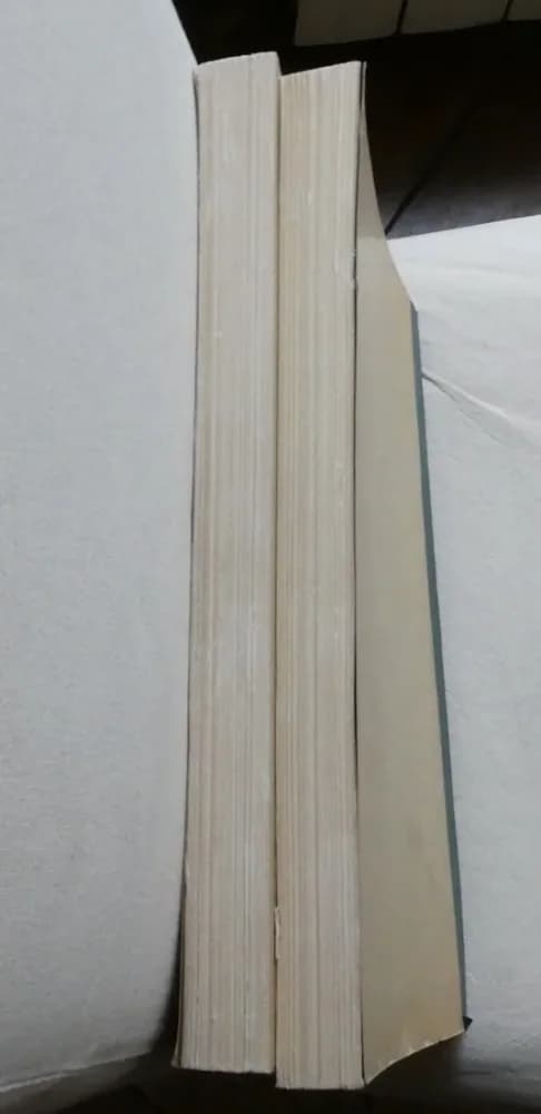 La Conquête du Tchad (1894-1916) 2 Tomes.  Pierre GENTIL - Image 5