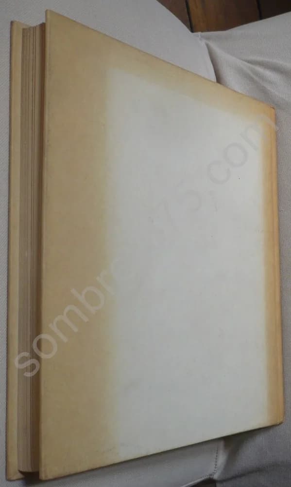 Le Journal en Images - Image 3