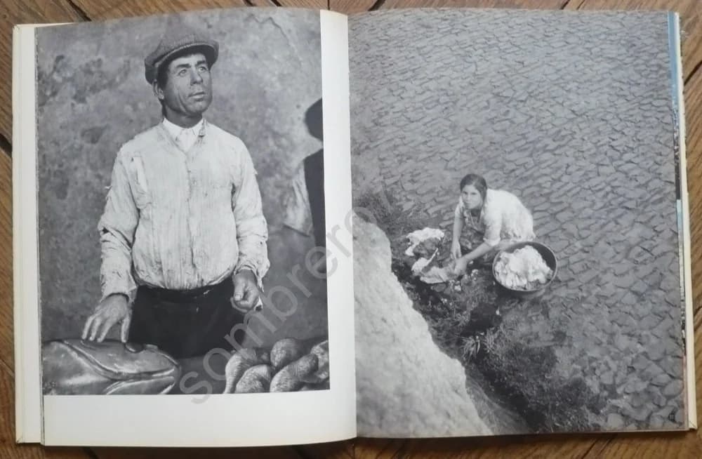 Madère N°13 Collection des Ides Photographiques - Image 4