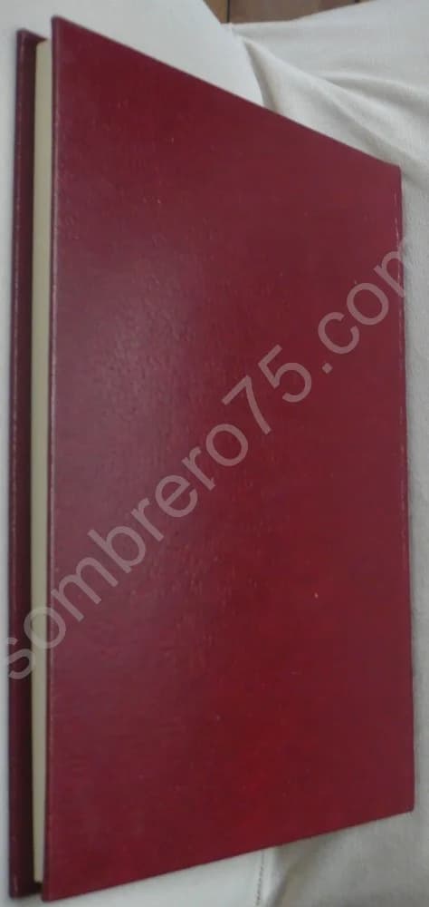 Voyaige d'Oultremer en Jhérusalem. Seigneur de Caumont - Image 2