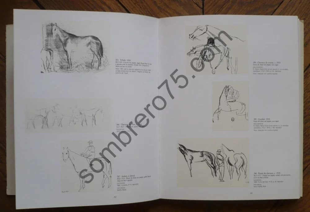 Dufy Catalogue Raisonné des Dessins. Volume 1 - Image 4