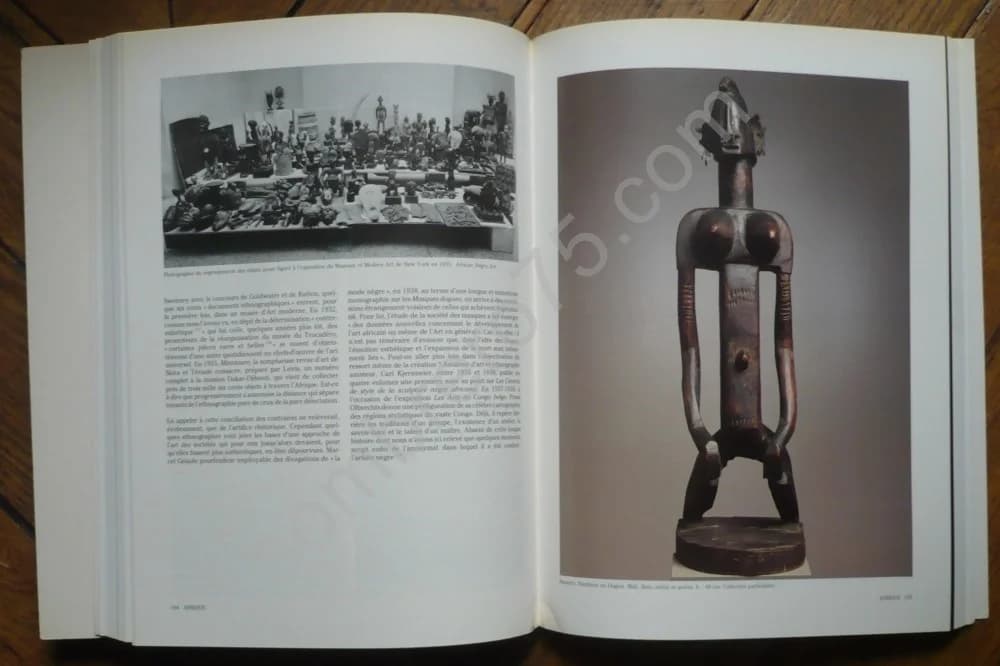 Le Primitivisme dans L'Art du 20e Siècle - 2 volumes - Image 5