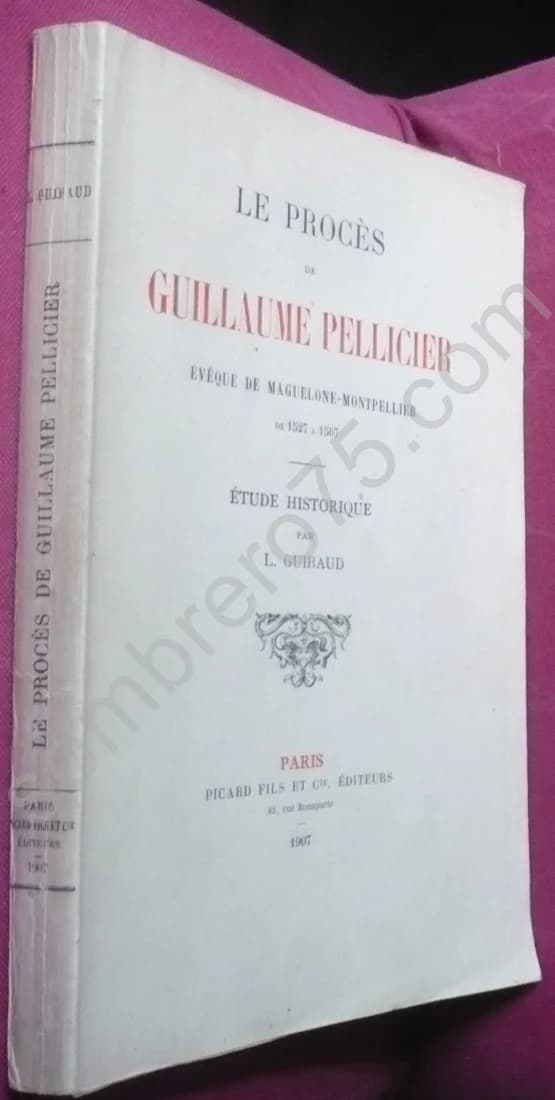 Le Procès de Guillaume Pellicier - Image 2