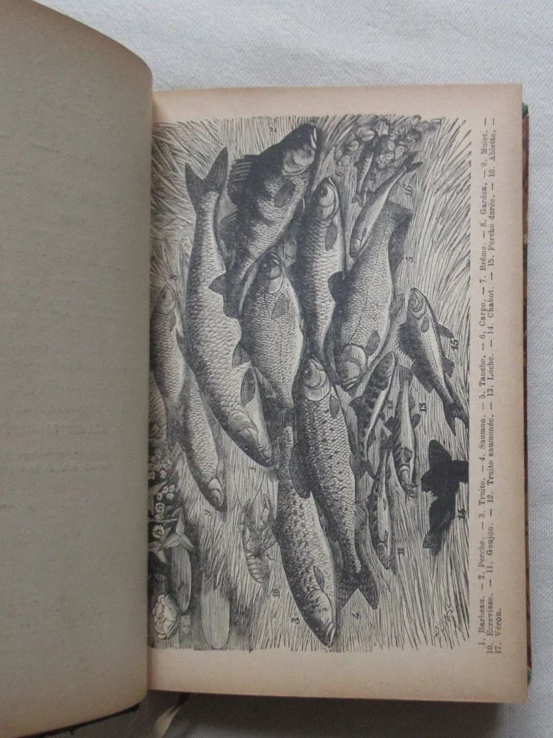 Le Pêcheur à la Mouche Artificielle. 4e Edition. Ch de MASSAS - Image 6