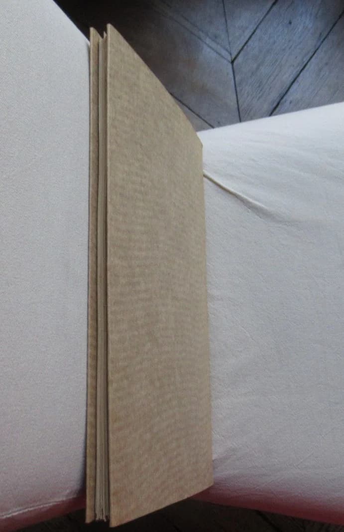 Arbres et Forêts de la Suisse. Première série - Image 7