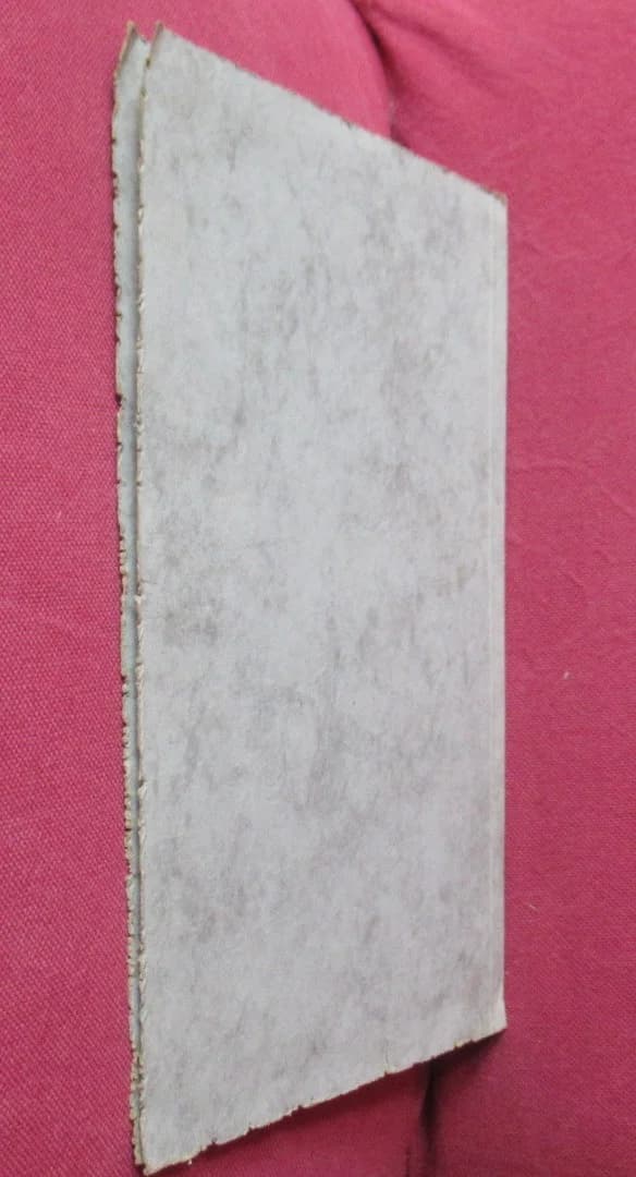 VIDOUDEZ. Luthier du Conservatoire de Musique - Genève - Image 6