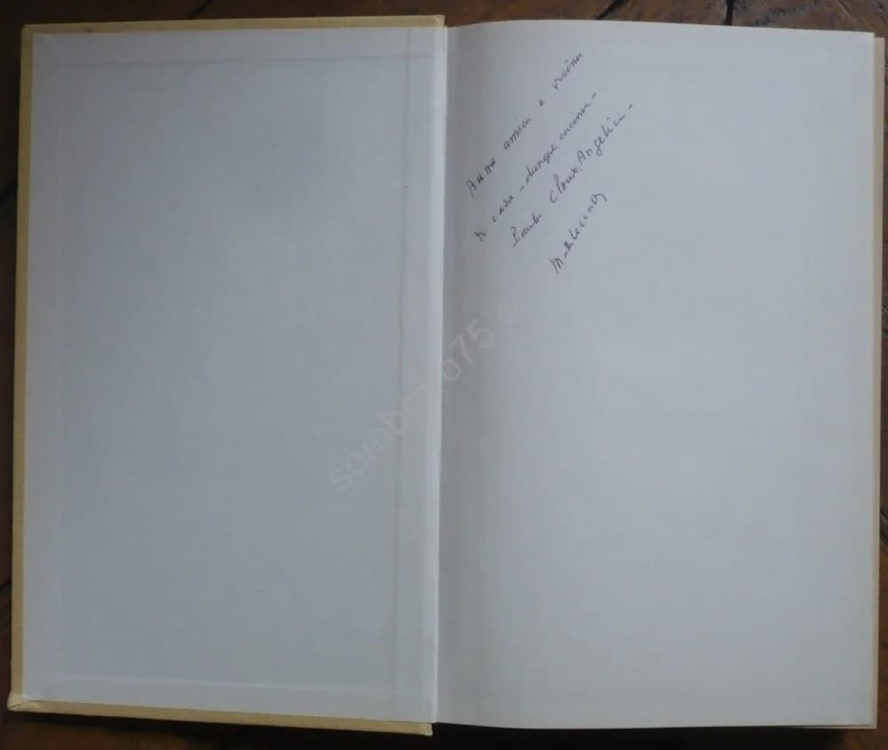 Dictionnaire Corse Français - Pieve d'Evisa - Image 4