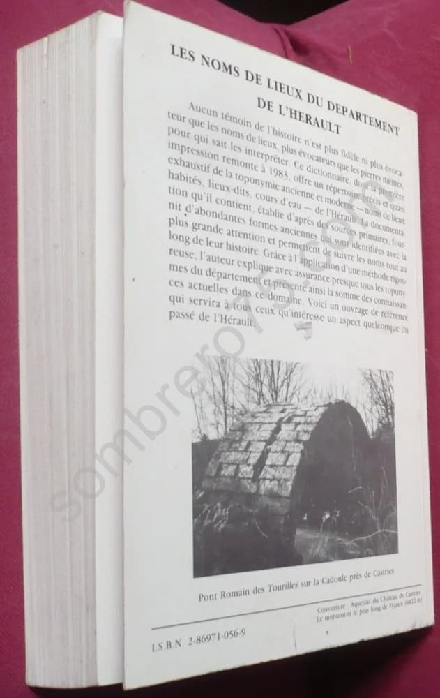 Les Noms de Lieux du Département de l'Hérault. Nouveau Dictionnaire Topographique et Etymologique - Image 3