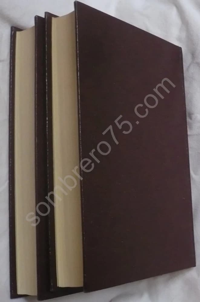 Annales de Pamiers. 2 Volumes - Image 3