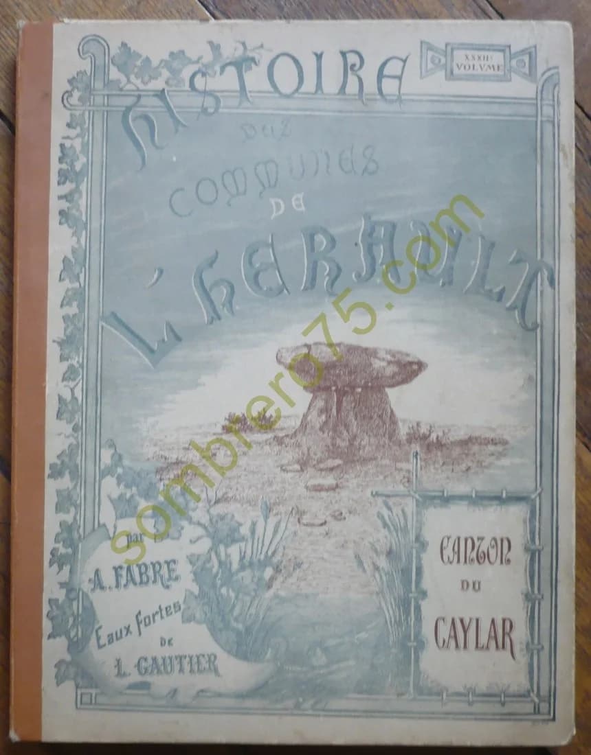 Histoire des Communes de l'Hérault. XXXIIe Volume. Canton du Caylar. Eaux Fortes