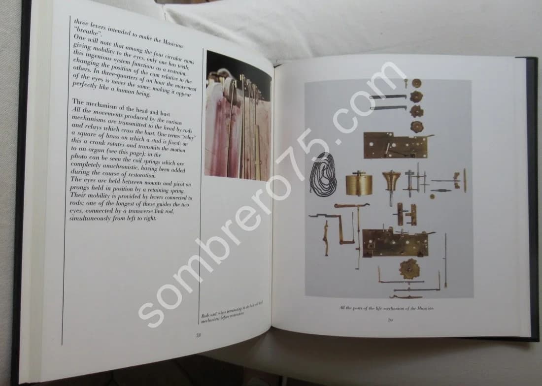 Les Automates du Célèbre - Androïds. Federico Maria Ricci - Image 6