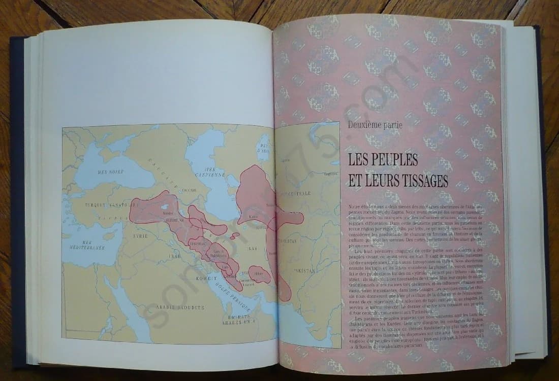 Tapis de Tribus : de l'Anatolie à l'Afghanistan - Image 4