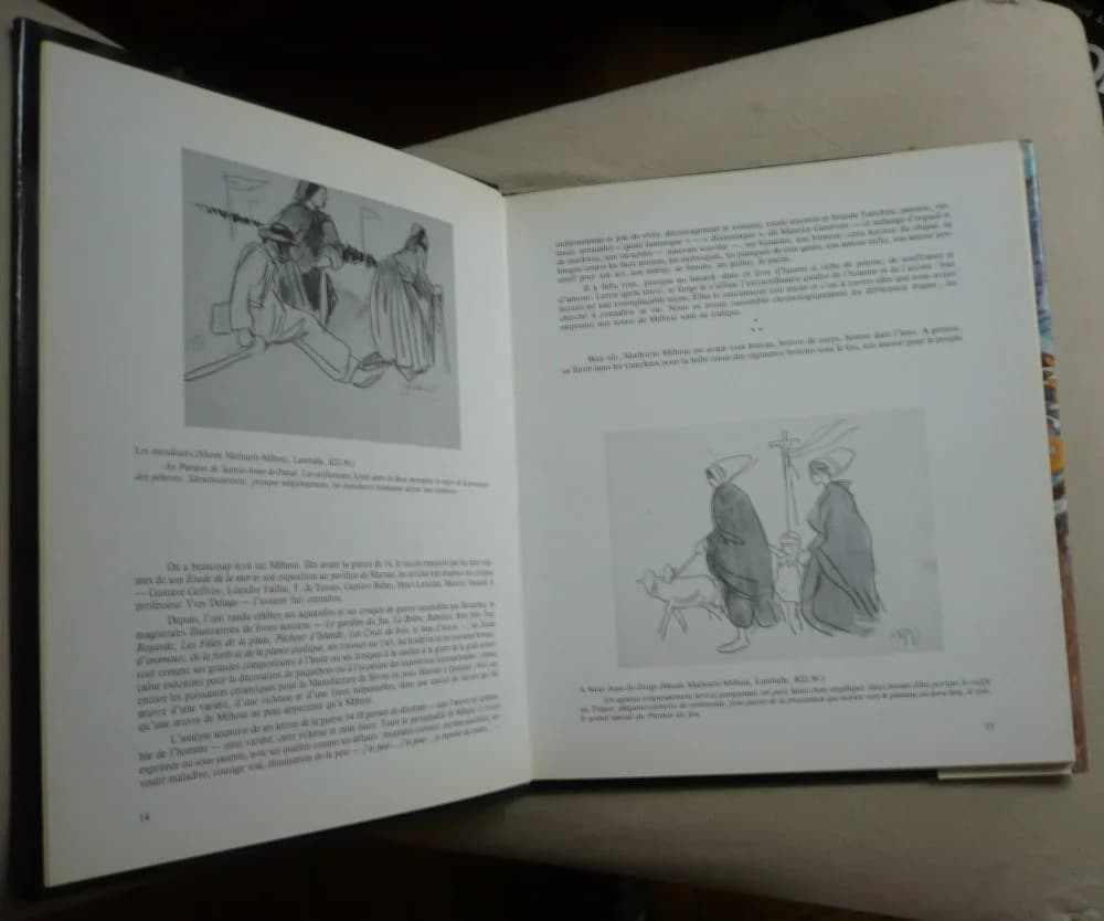 Mathurin Meheut - Luc Marie Bayle - Image 4