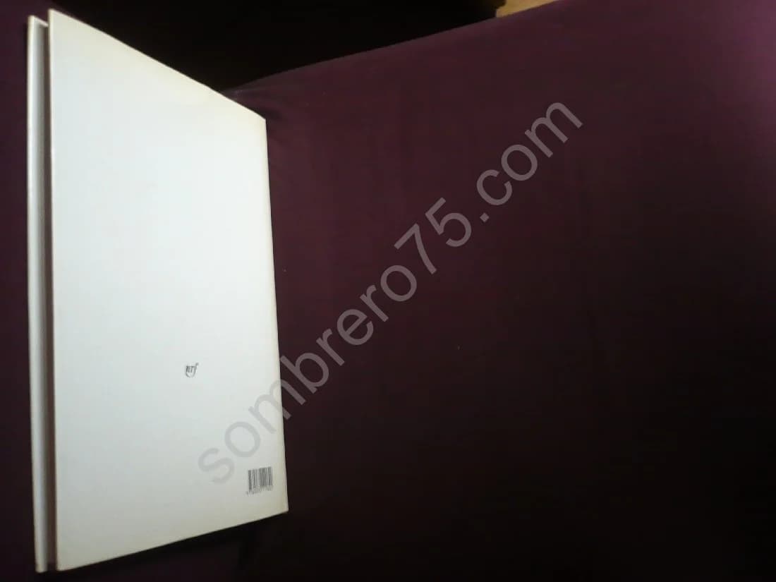 Van Gogh Le Suicidé de la Société - Image 3