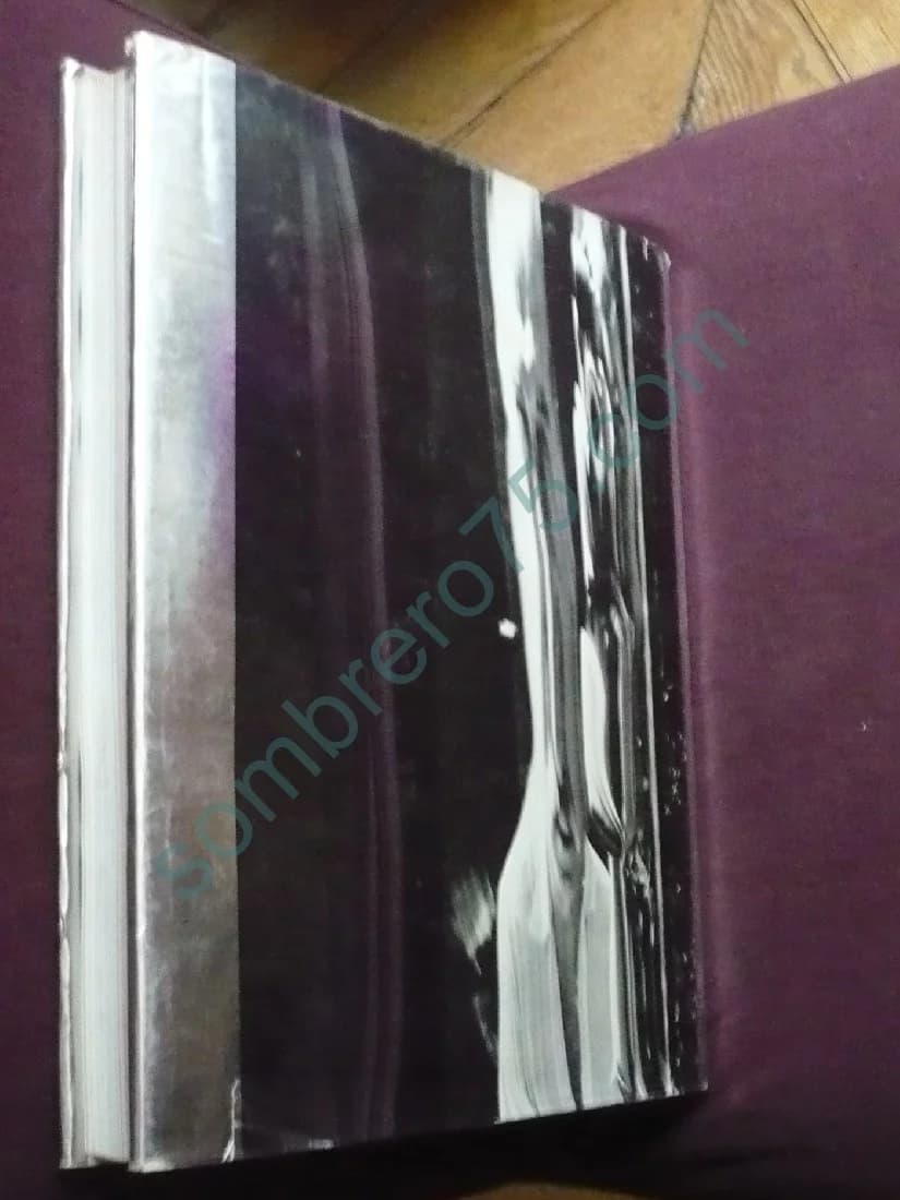 Le Miroir : Essai sur une Légende Scientifique - Révélations, Science-Fiction et Fallacies - Image 3