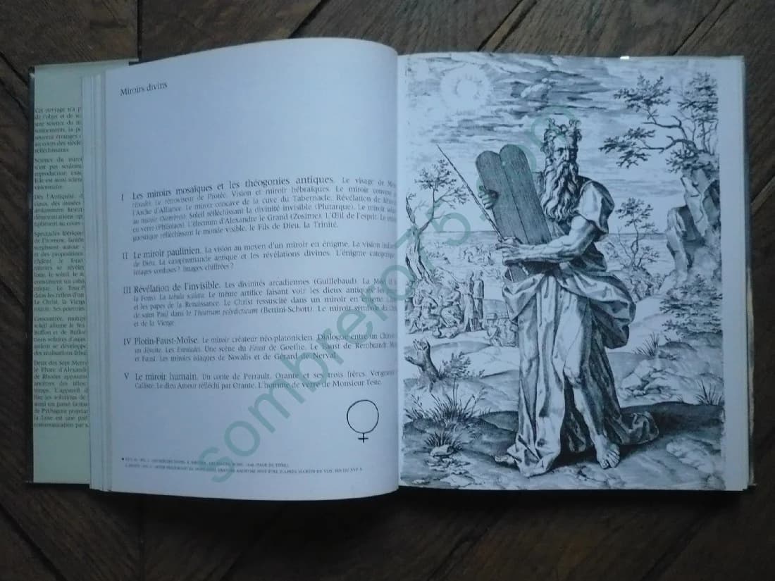 Le Miroir : Essai sur une Légende Scientifique - Révélations, Science-Fiction et Fallacies - Image 4