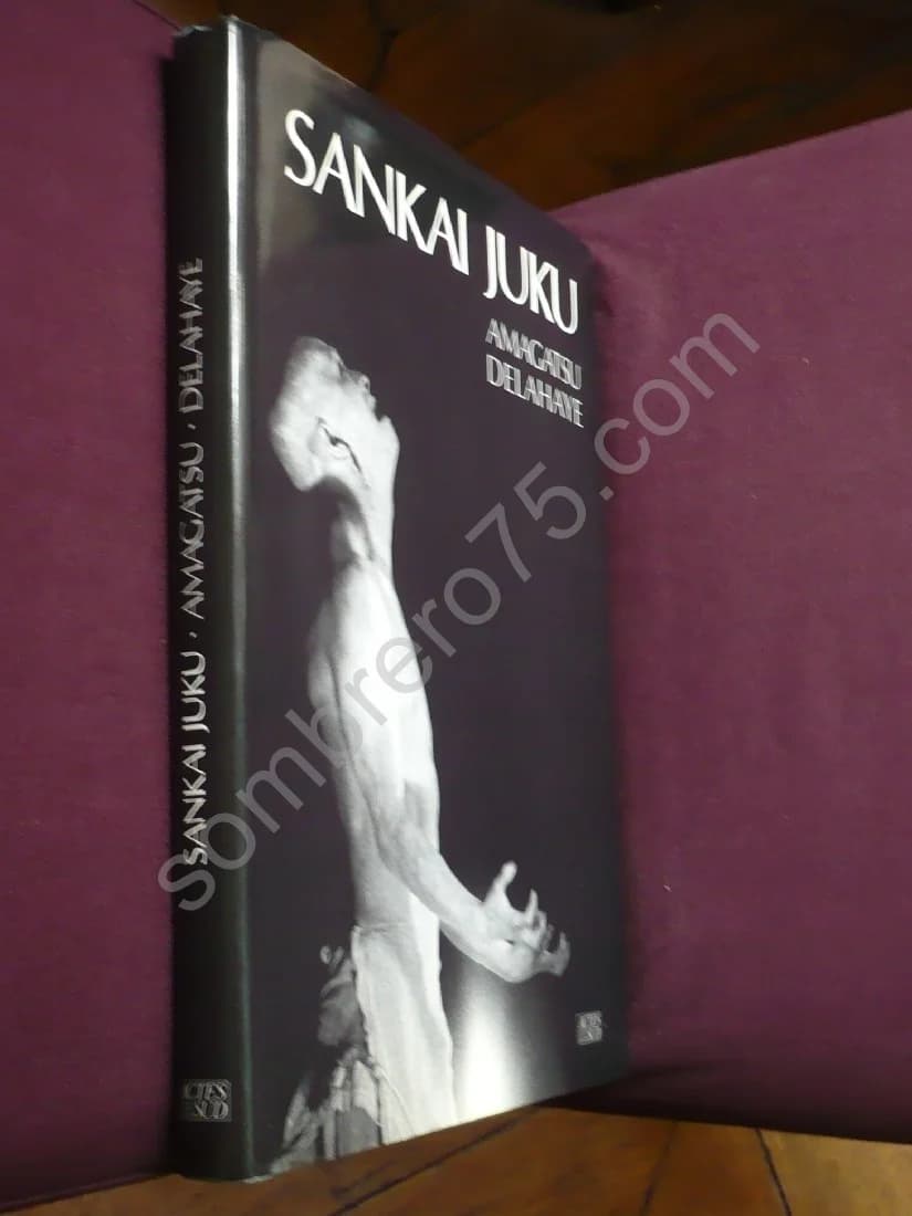 Sankaï Juku : Ushio Amagatsu - Image 2