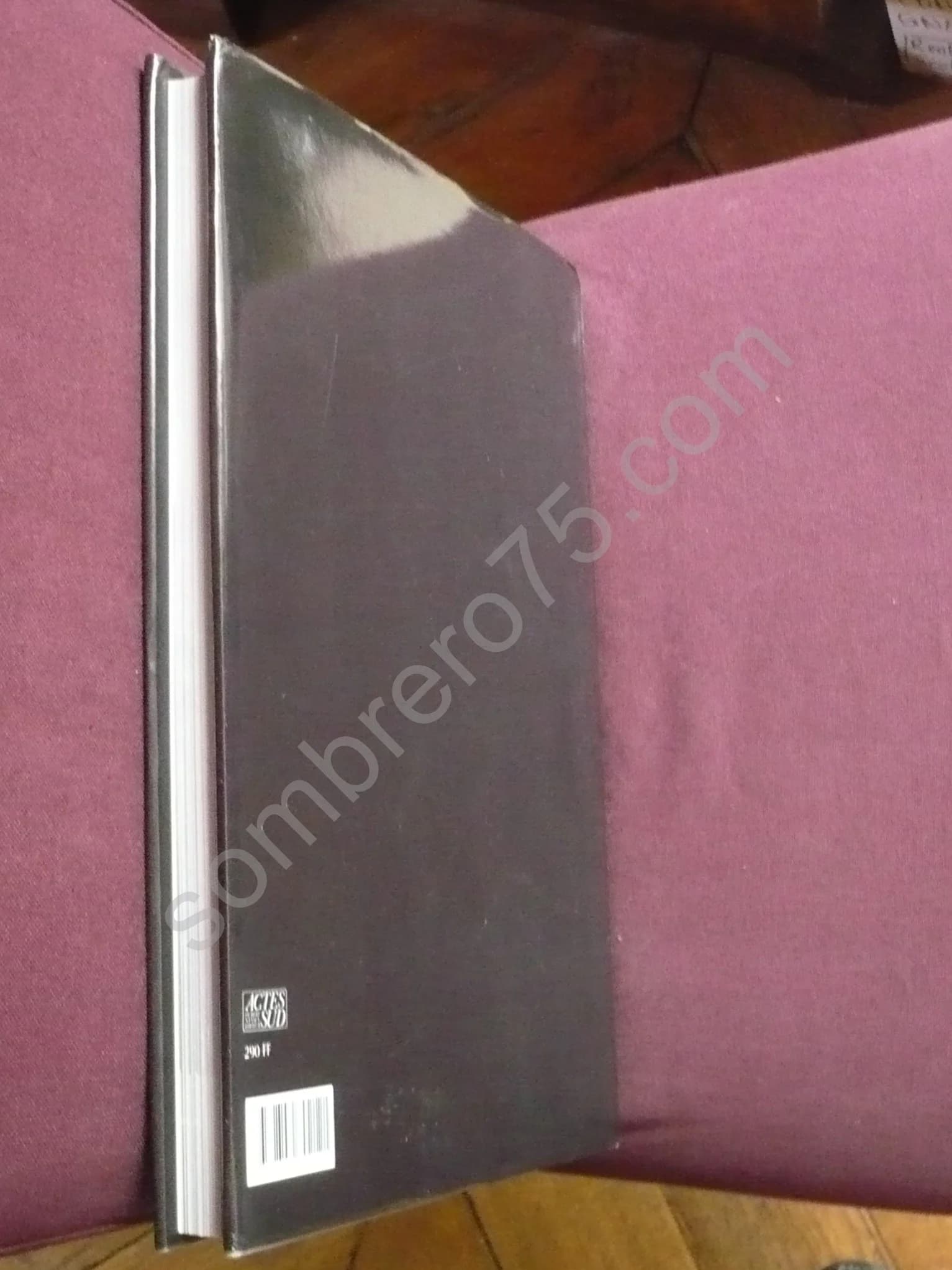 Sankaï Juku : Ushio Amagatsu - Image 3