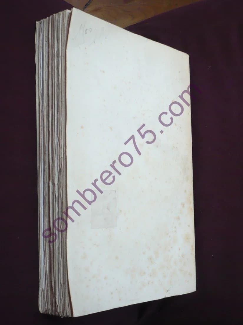 Maitres et Doctrines du Droit des Gens - De La Pradelle - Image 3