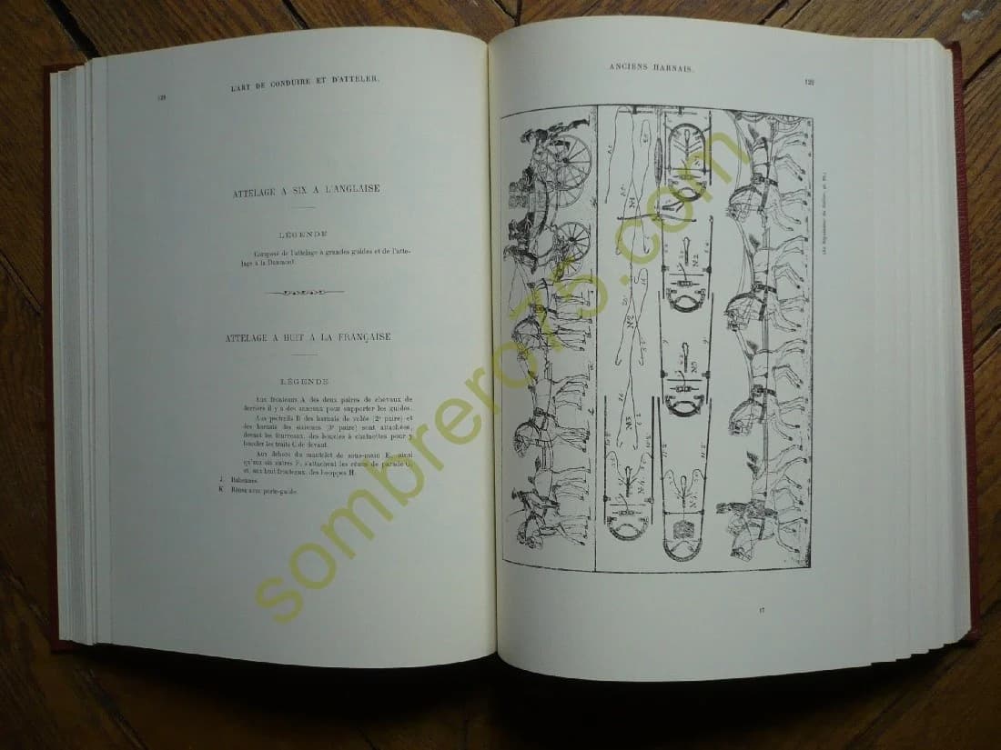 L'Art de Conduire et d'atteler Autrefois - Aujourd'hui. Général Baron - Image 5