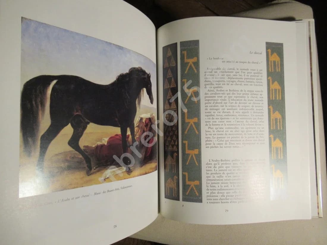 L'Algérie Nomade et Ksourienne, 1830-1954. Courriers - Image 9