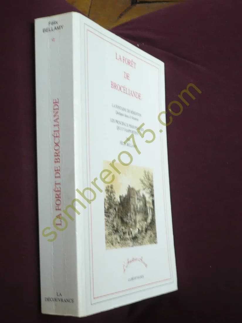La Forêt de Brocéliande Tome I - Image 2