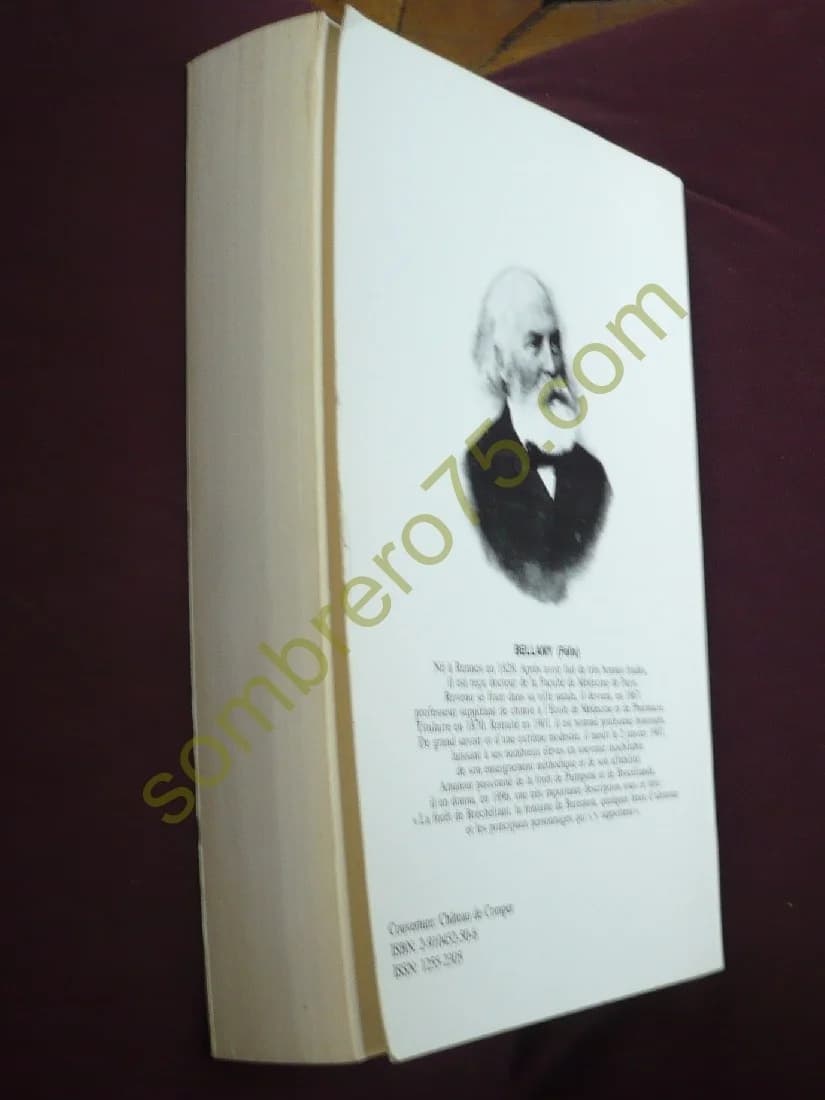 La Forêt de Brocéliande Tome I - Image 3