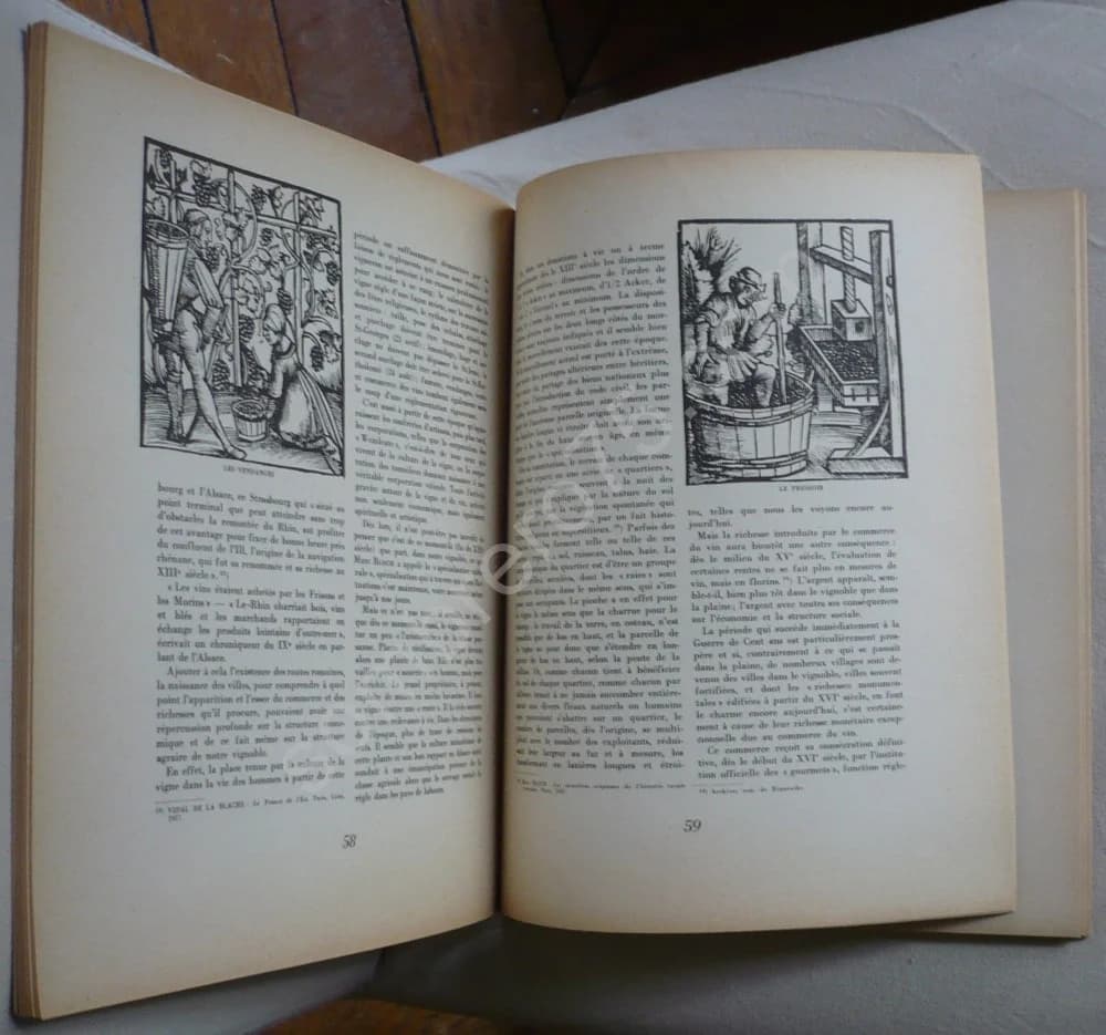 Vignes et Vins d'Alsace Imprimé pour le Très Grand Marché sis à Colmar en l'An 1949, à la Mi Août. Trois Dessins de Hansi - Image 3