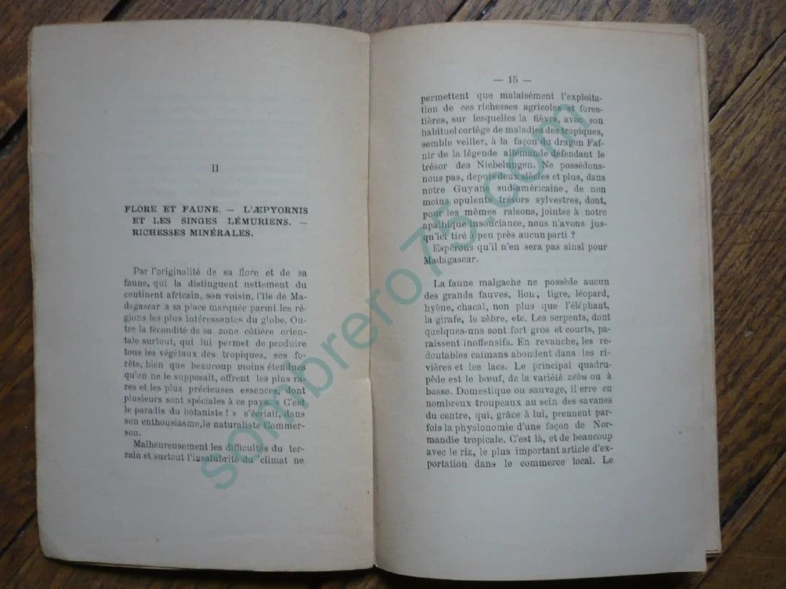 Madagascar 1895. Esquisse Géographique, Faune, Flore, Les Hovas. Historique - Image 4