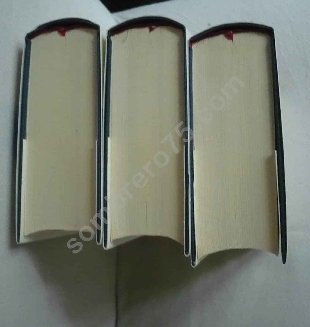 Journal Littéraire Paul Léautaud 3 Volumes - Image 4