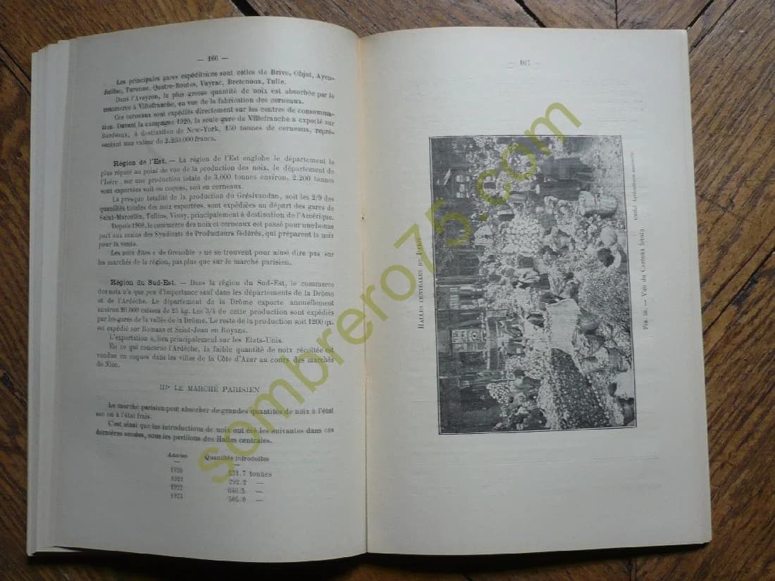 Premier Congrès National de la Noix et du Cerneau, tenu à Périgueux... Les 27-28 Octobre 1924 - Image 2