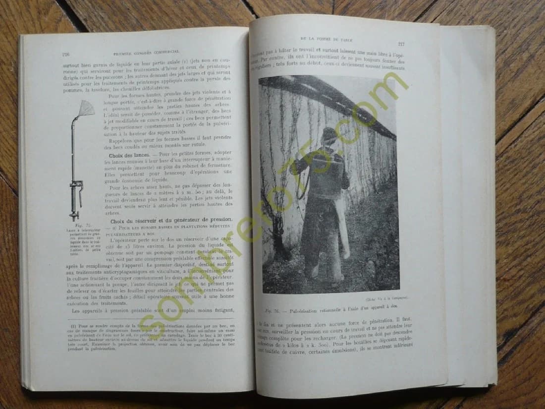 Premier Congrès Commercial de la Pomme de Table, tenu à Bourges, les 26-27 Juin 1926 - Image 3